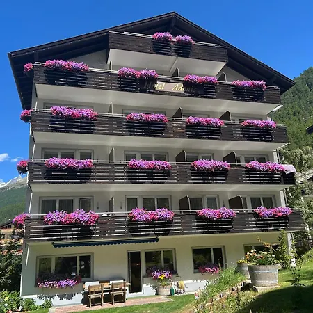 Adonis Zermatt