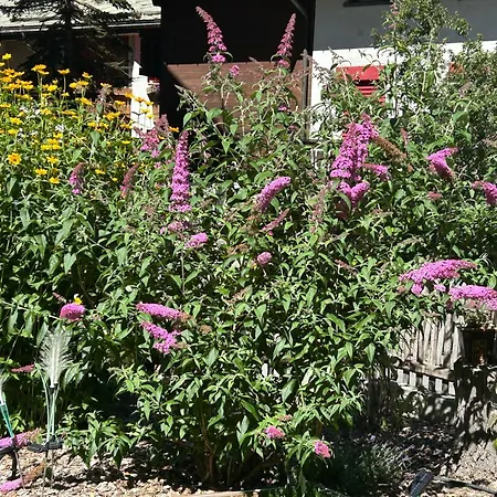 호텔 아도니스 3*