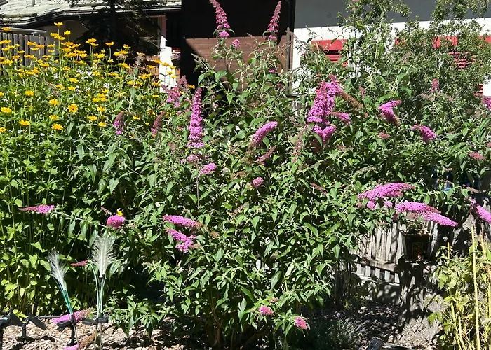 Ξενοδοχείο Adonis 3*